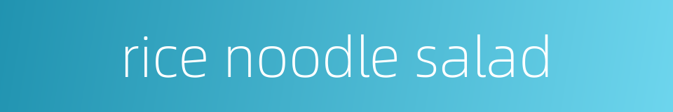 rice noodle salad的同义词