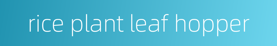 rice plant leaf hopper的同义词