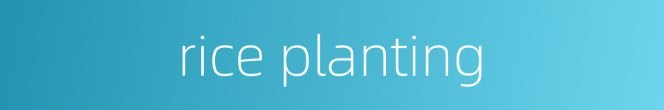 rice planting的同义词