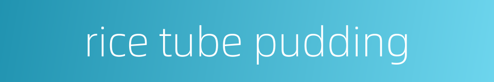 rice tube pudding的同义词