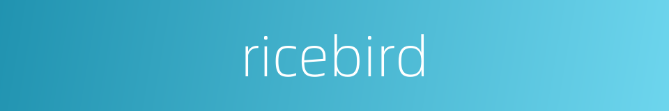 ricebird的同义词