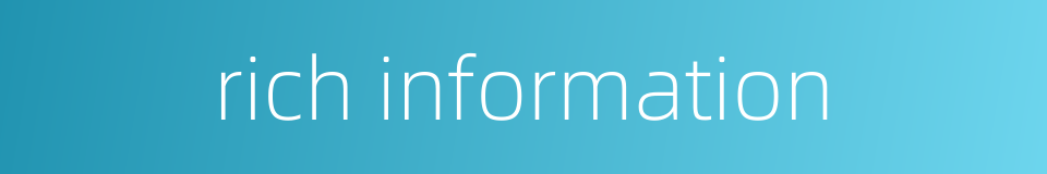rich information的同义词