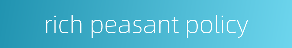 rich peasant policy的同义词