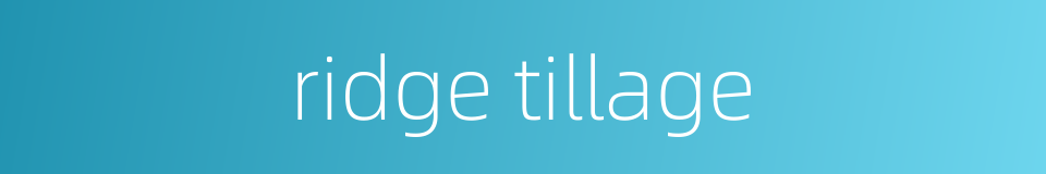 ridge tillage的同义词