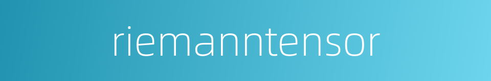 riemanntensor的同义词