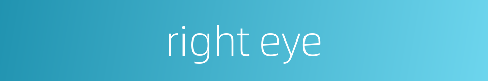right eye的同义词