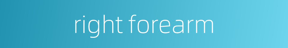 right forearm的同义词