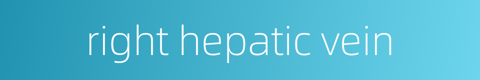 right hepatic vein的同义词