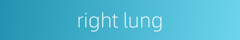 right lung的同义词