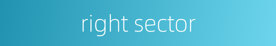 right sector的同义词