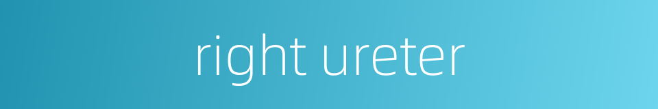 right ureter的同义词