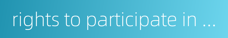 rights to participate in public affairs的同义词