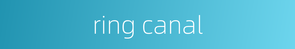ring canal的同义词