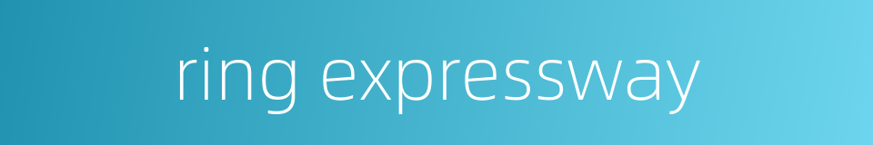 ring expressway的同义词