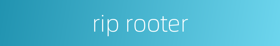 rip rooter的同义词