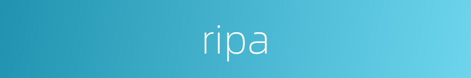 ripa的同义词