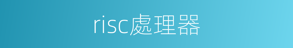 risc處理器的同義詞