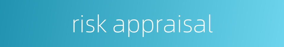 risk appraisal的同义词
