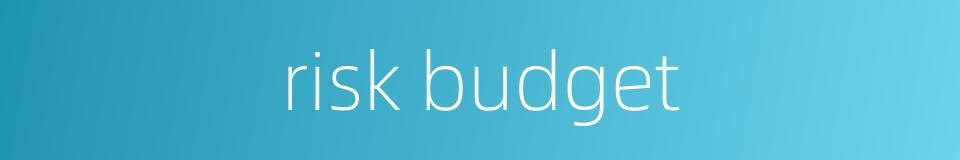 risk budget的同义词