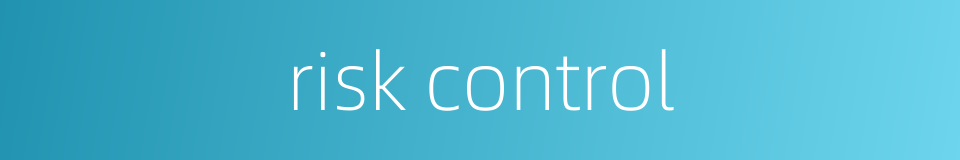 risk control的同义词