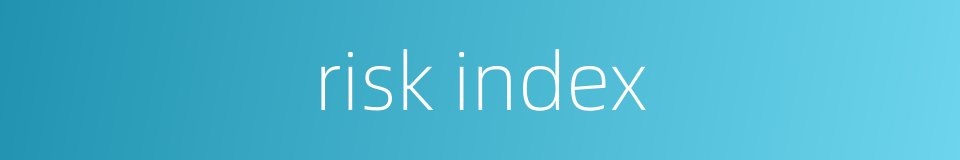 risk index的同义词