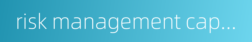 risk management capability的同义词