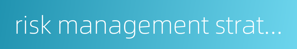 risk management strategy的同义词