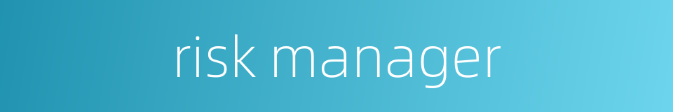 risk manager的同义词