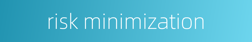 risk minimization的同义词