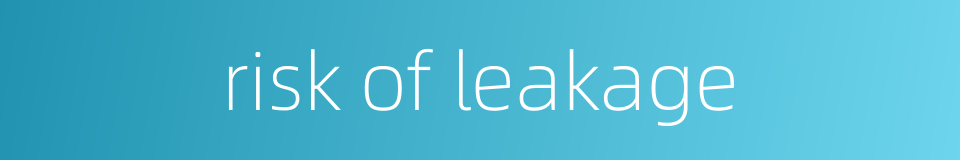 risk of leakage的同义词