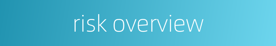 risk overview的同义词