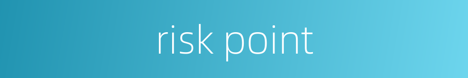 risk point的同义词
