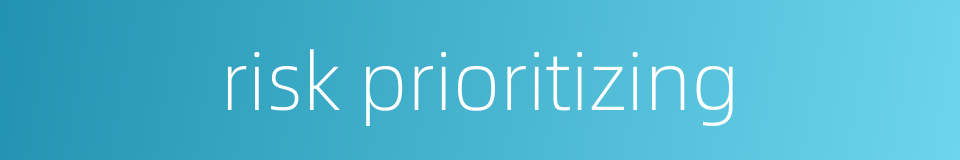 risk prioritizing的同义词