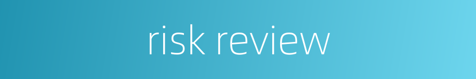 risk review的同义词