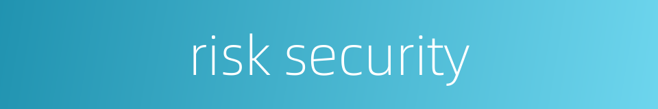 risk security的同义词