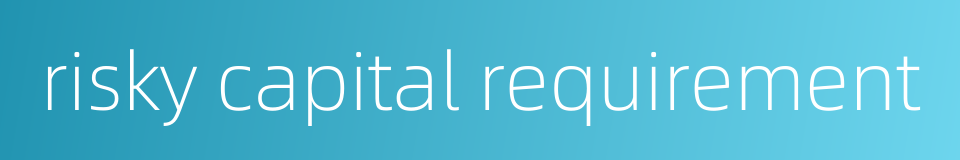 risky capital requirement的同义词
