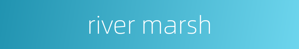 river marsh的同义词