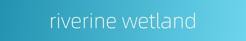 riverine wetland的同义词