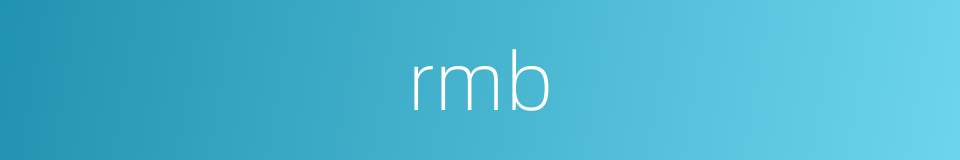 rmb的同义词