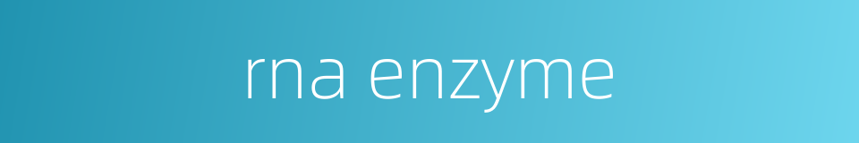 rna enzyme的同义词