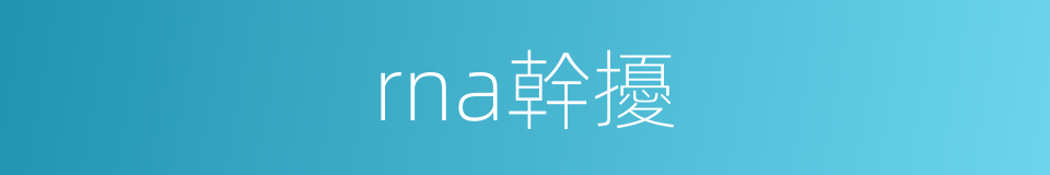 rna幹擾的同義詞