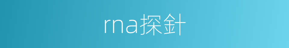 rna探針的同義詞