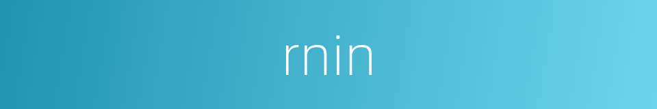 rnin的同义词