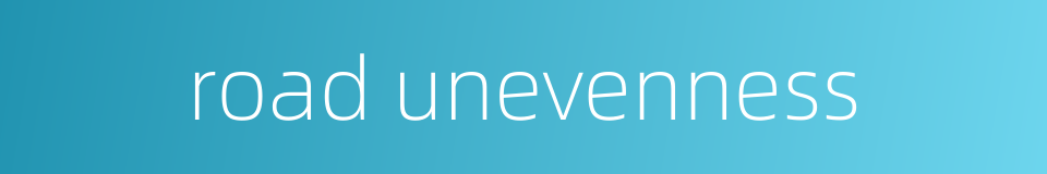 road unevenness的同义词