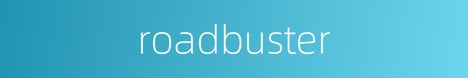 roadbuster的同义词