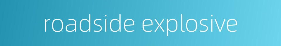 roadside explosive的同义词