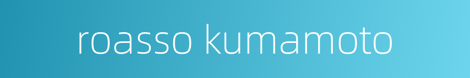 roasso kumamoto的同义词