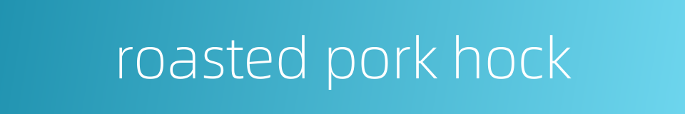 roasted pork hock的同义词