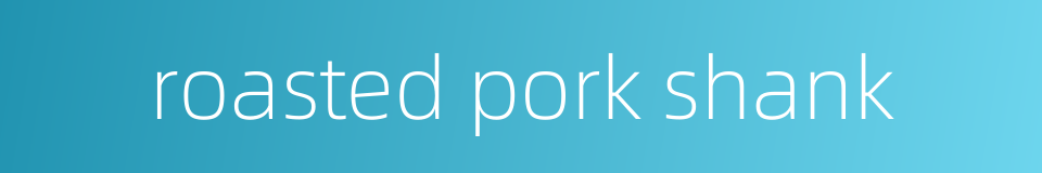 roasted pork shank的同义词