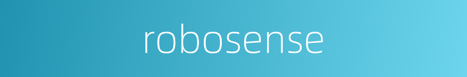 robosense的同义词